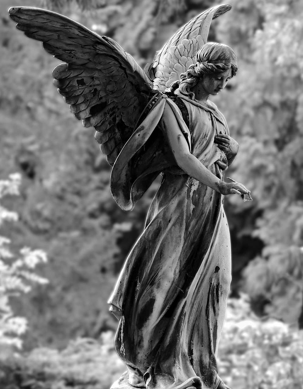 angel, statue, figure